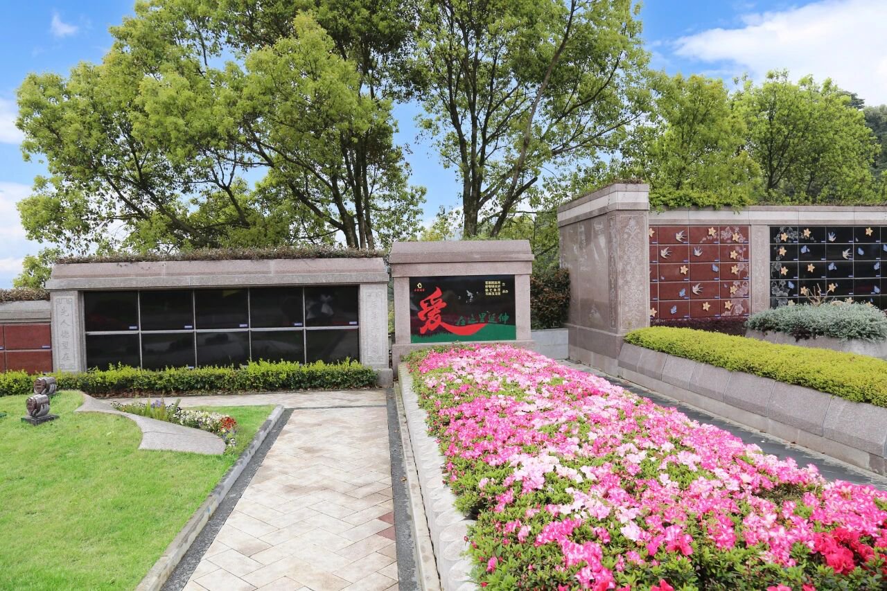 ����������ͷ�ɳ�