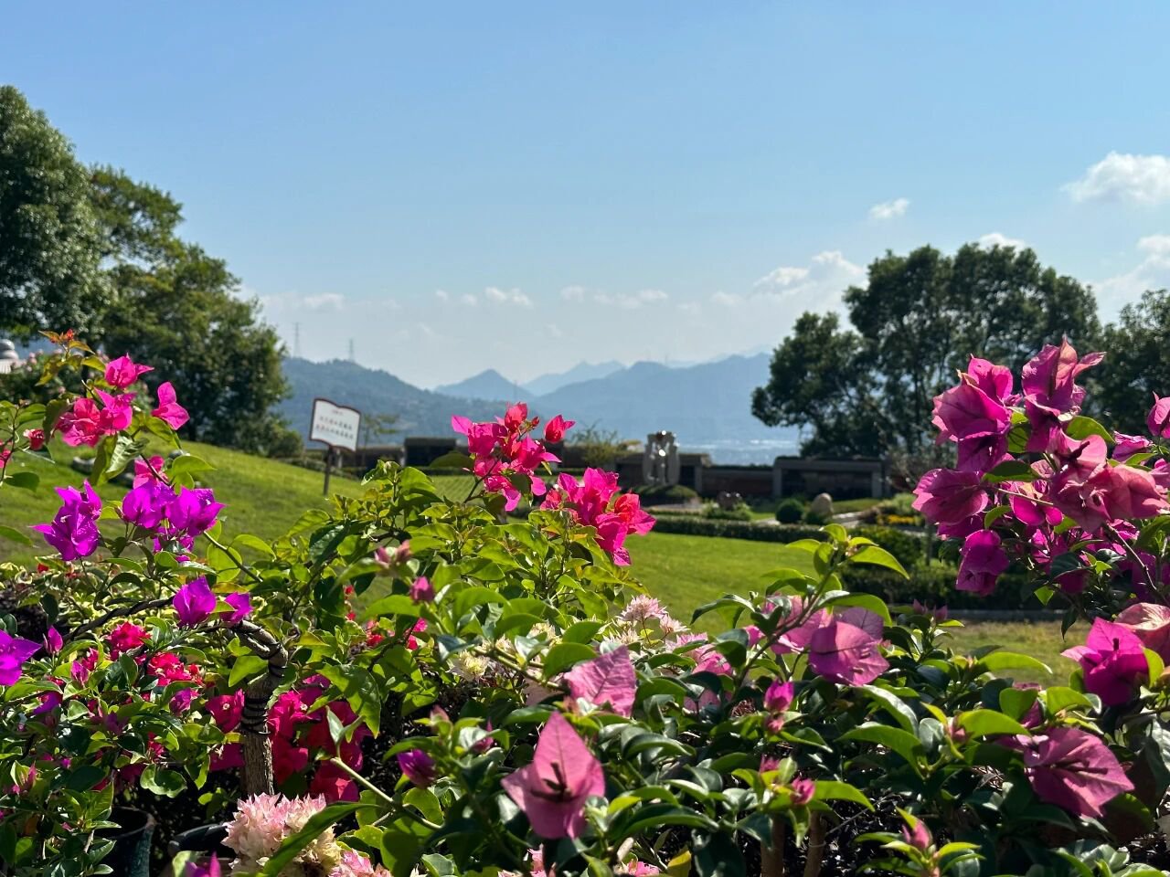 ��ҳ - ���ɱ����ǹ��ʹٷ���վ