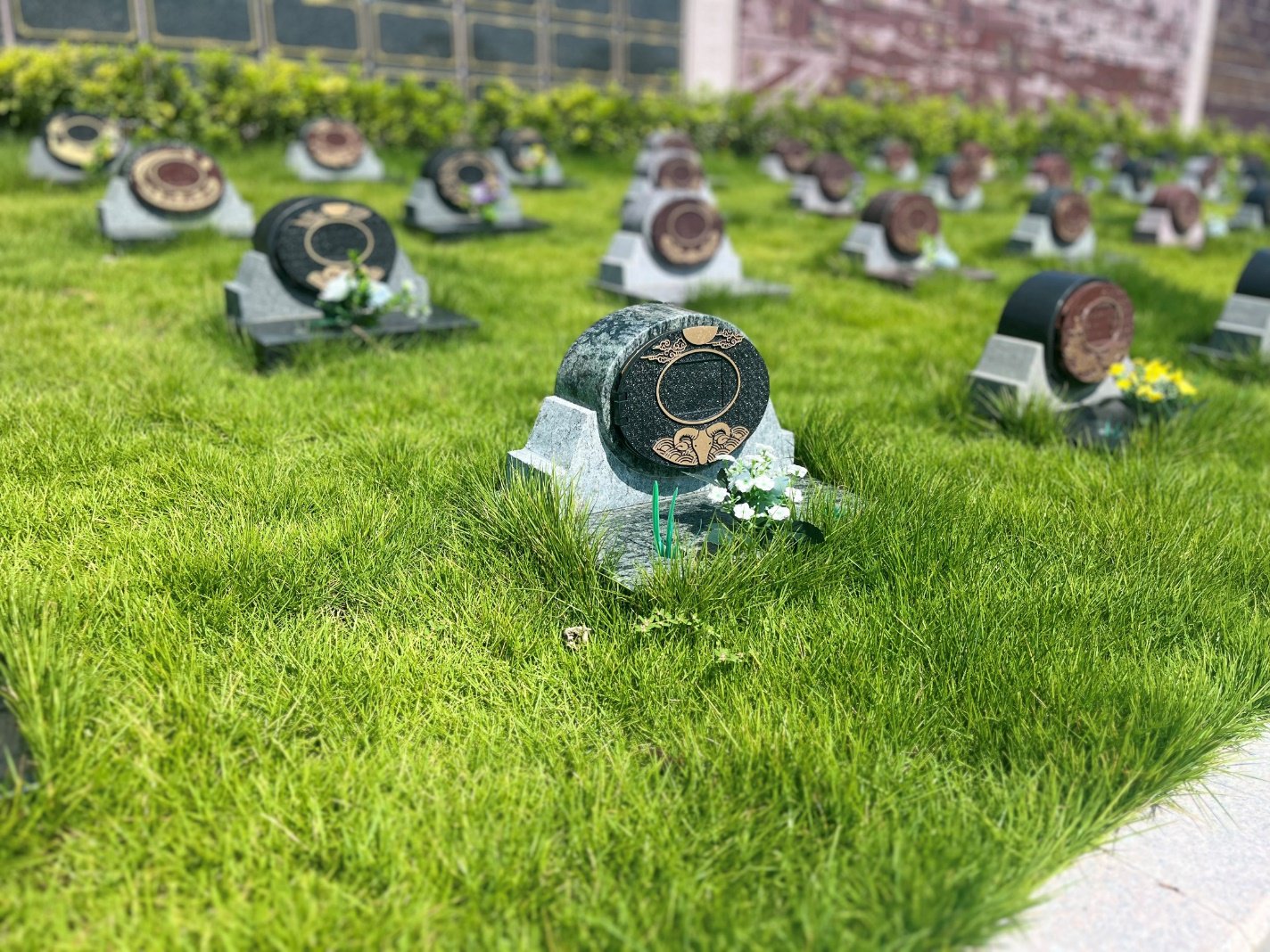 ��ҳ - ���ɱ����ǹ��ʹٷ���վ