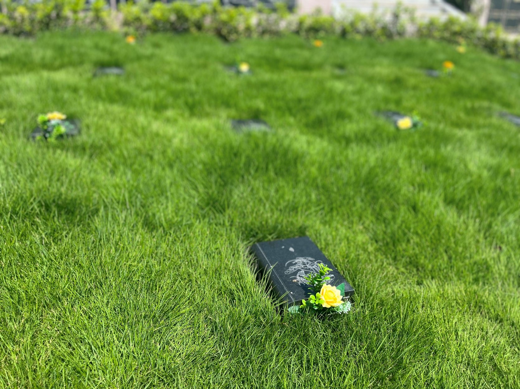 ��ҳ - ���ɱ����ǹ��ʹٷ���վ