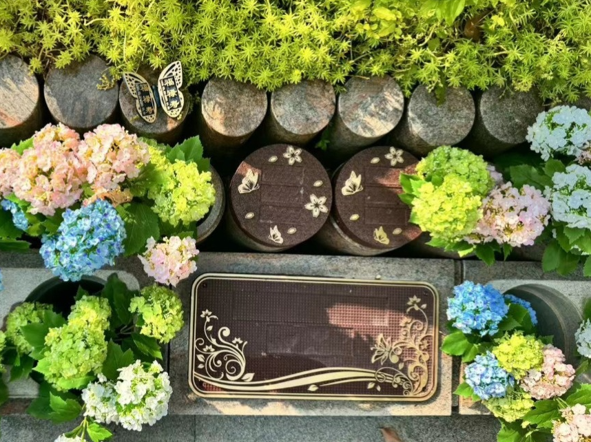 1-2601140T540328 Ê×Ò³ - ·ÆÂɱöÑÇÐǹú¼Ê¹Ù·½ÍøÕ¾