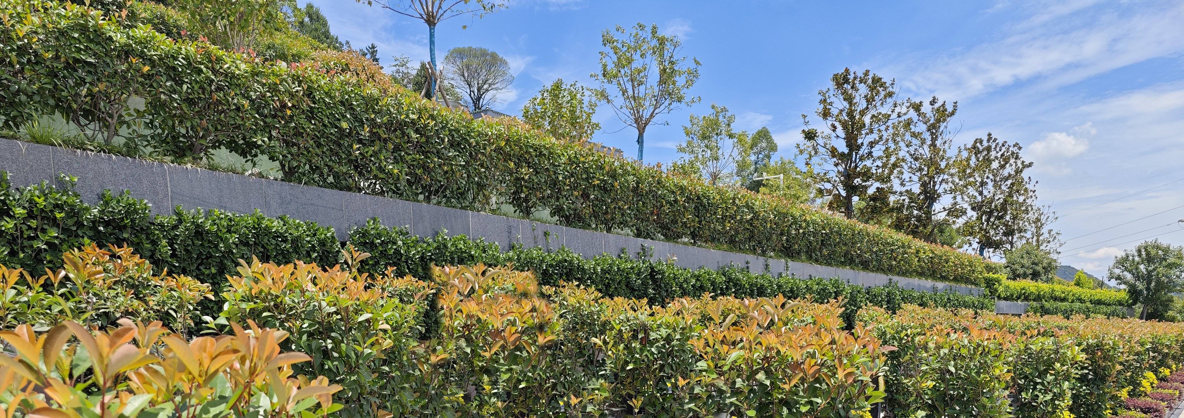 ��ҳ - ���ɱ����ǹ��ʹٷ���վ