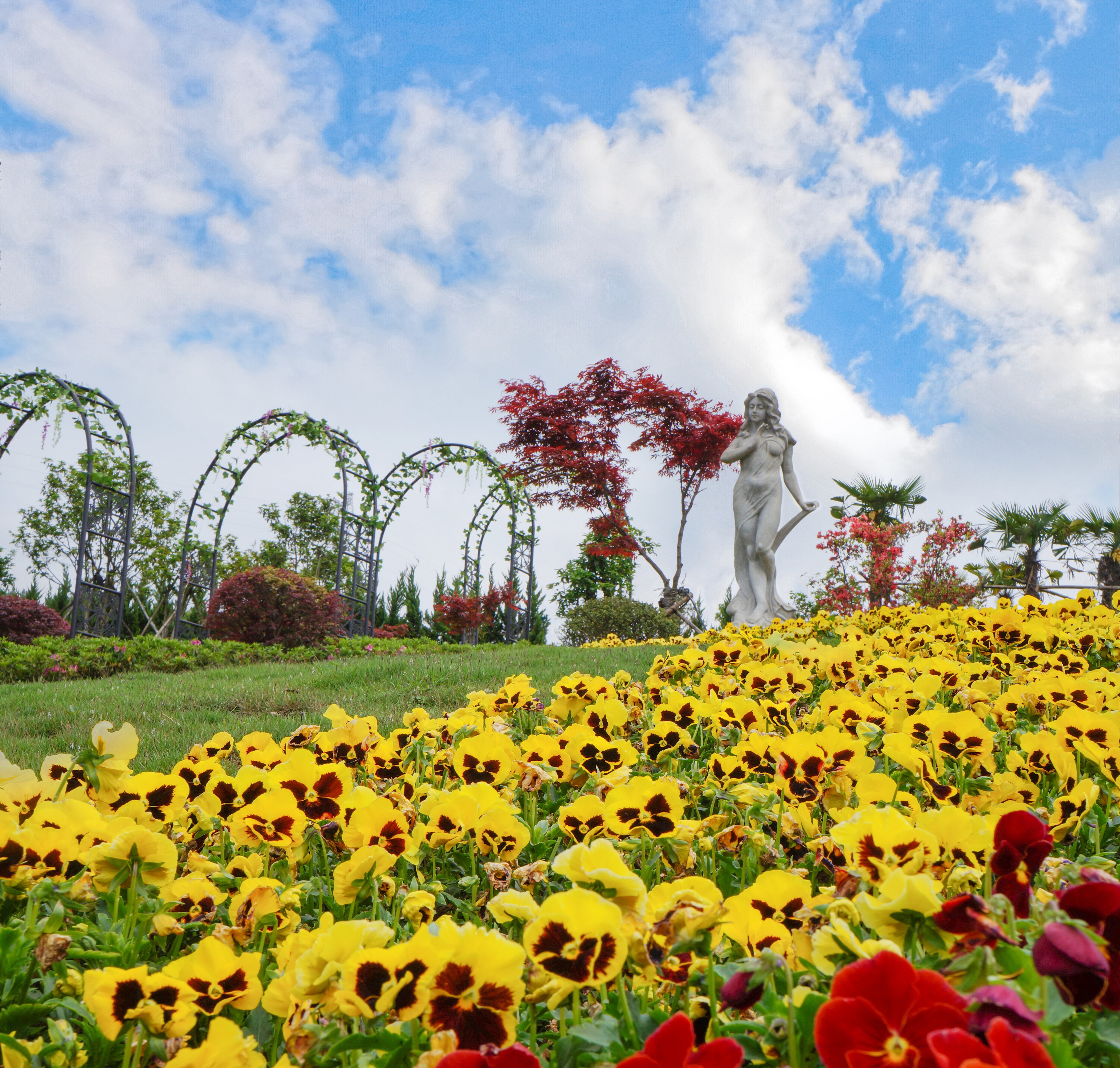 ��ҳ - ���ɱ����ǹ��ʹٷ���վ