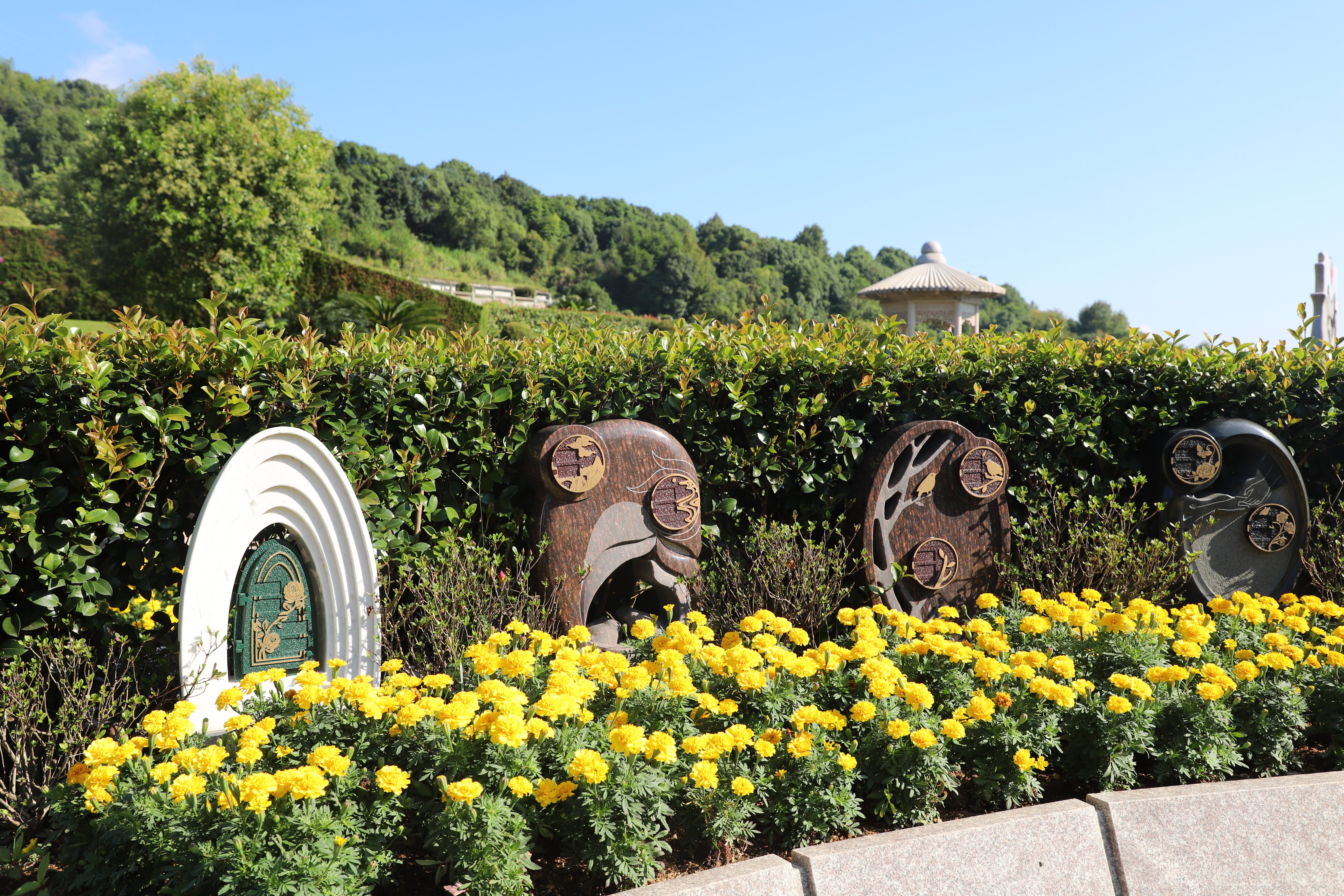 ��ҳ - ���ɱ����ǹ��ʹٷ���վ