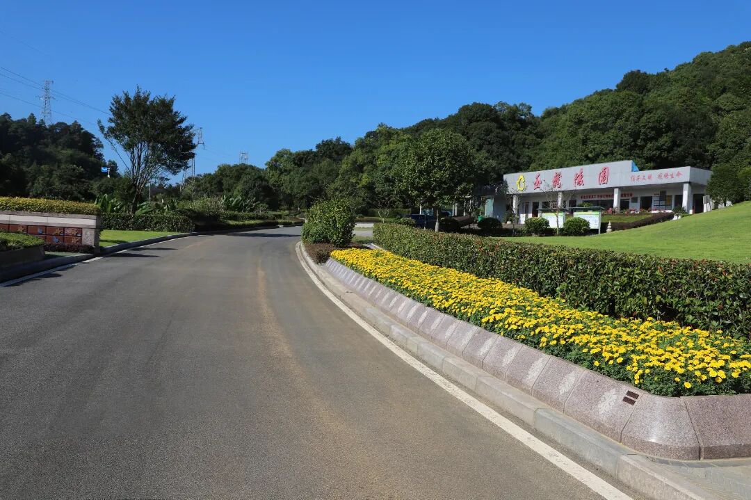 ��ҳ - ���ɱ����ǹ��ʹٷ���վ